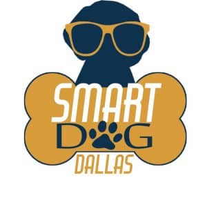Picture of Smart Dog Dallas